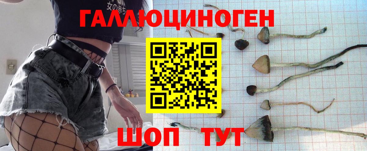 Галлюциногенные грибы Psilocybe Еманжелинск
