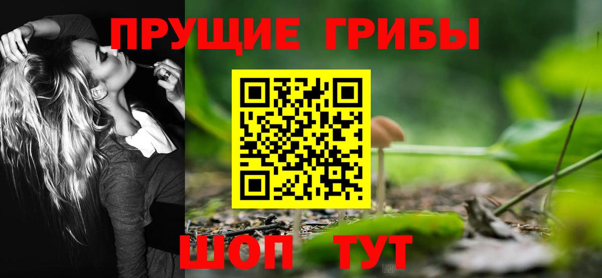 Галлюциногенные грибы Magic Shrooms  Вход с VPN  Галлюциногенные грибы Psilocybe  Еманжелинск 